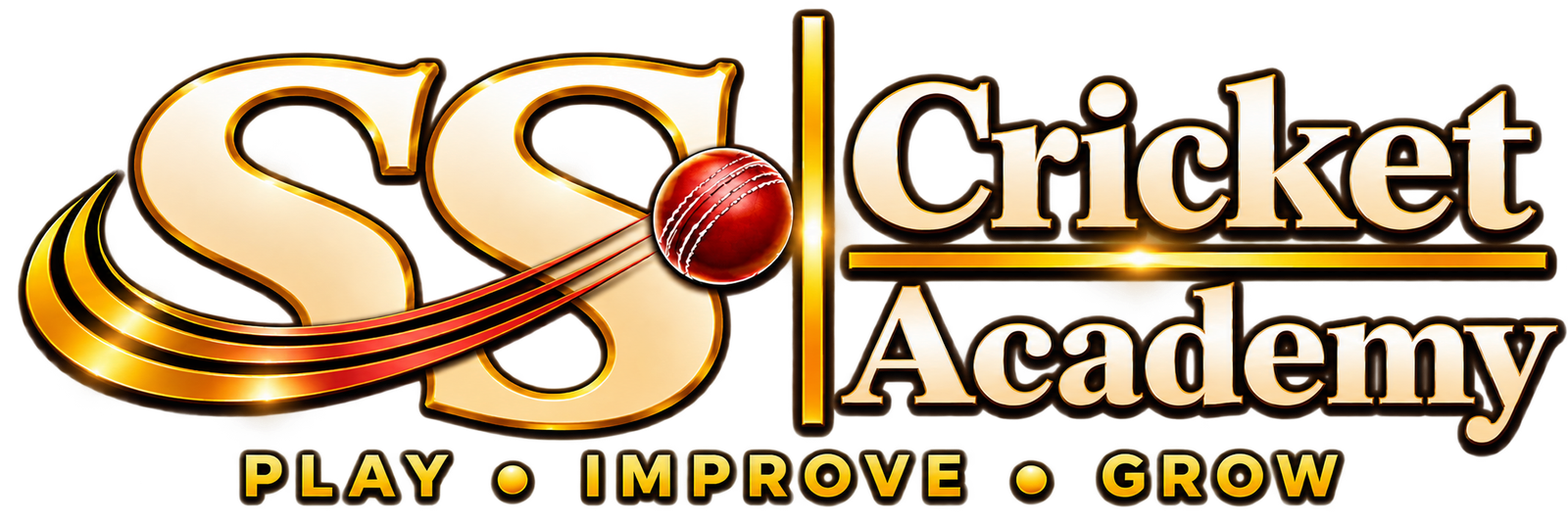 SS Cricket Academy — Play Improve Grow